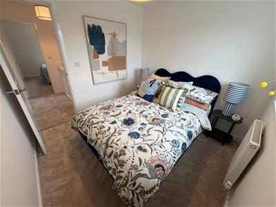 Picture 11